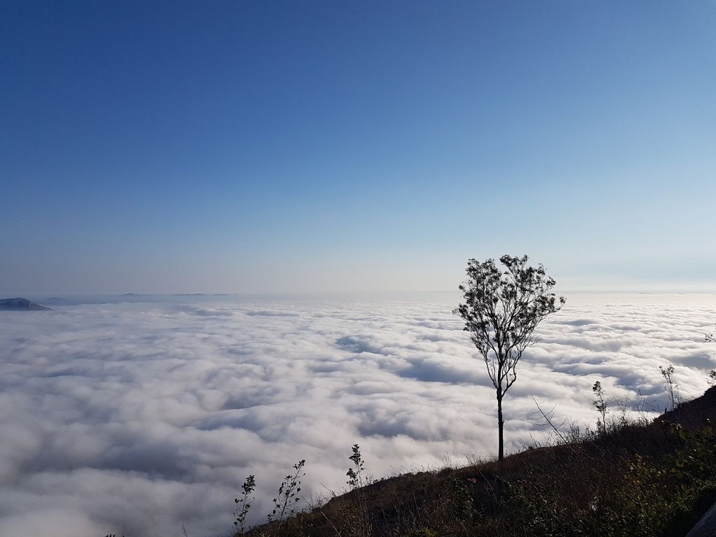 Nandi Hills Sunrise Trip